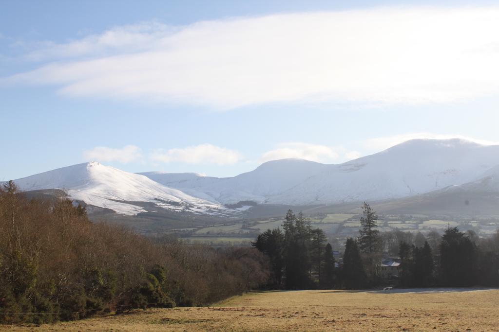 Ballinacourty House B&B Tipperary Dış mekan fotoğraf