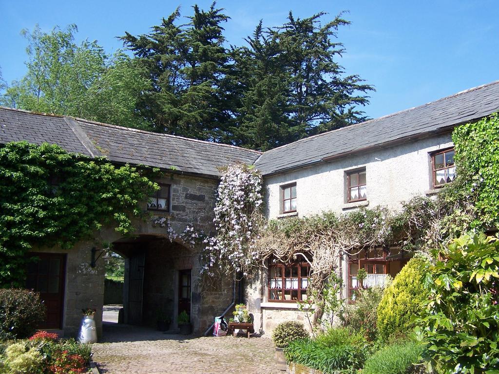 Ballinacourty House B&B Tipperary Dış mekan fotoğraf