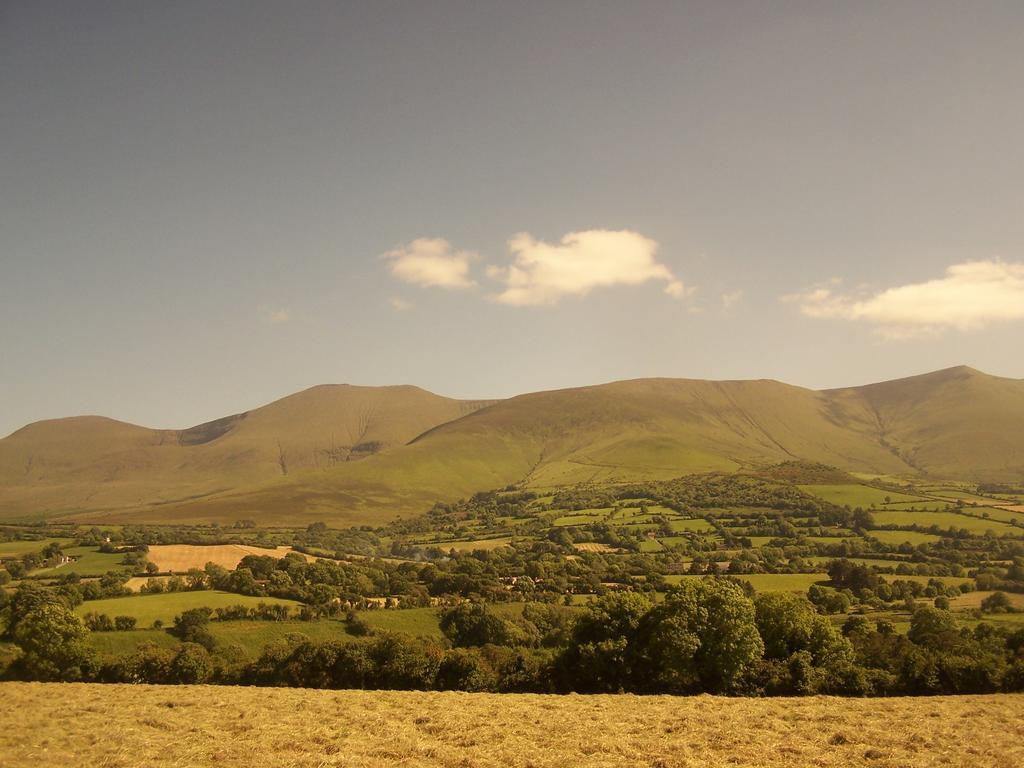 Ballinacourty House B&B Tipperary Dış mekan fotoğraf