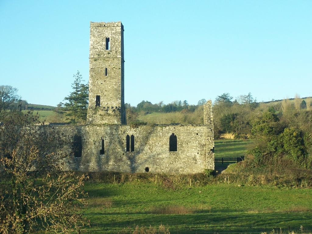 Ballinacourty House B&B Tipperary Dış mekan fotoğraf