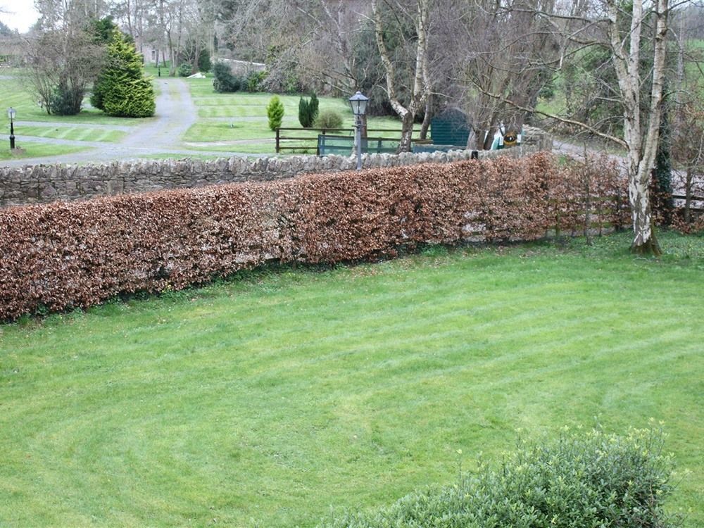 Ballinacourty House B&B Tipperary Dış mekan fotoğraf