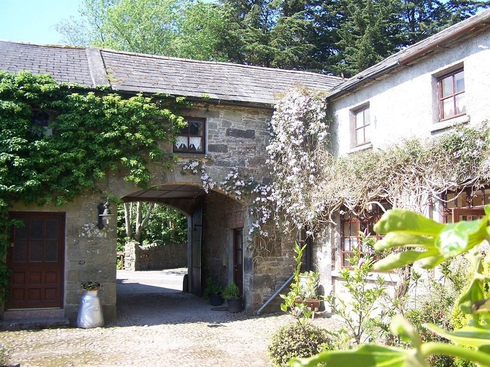 Ballinacourty House B&B Tipperary Dış mekan fotoğraf