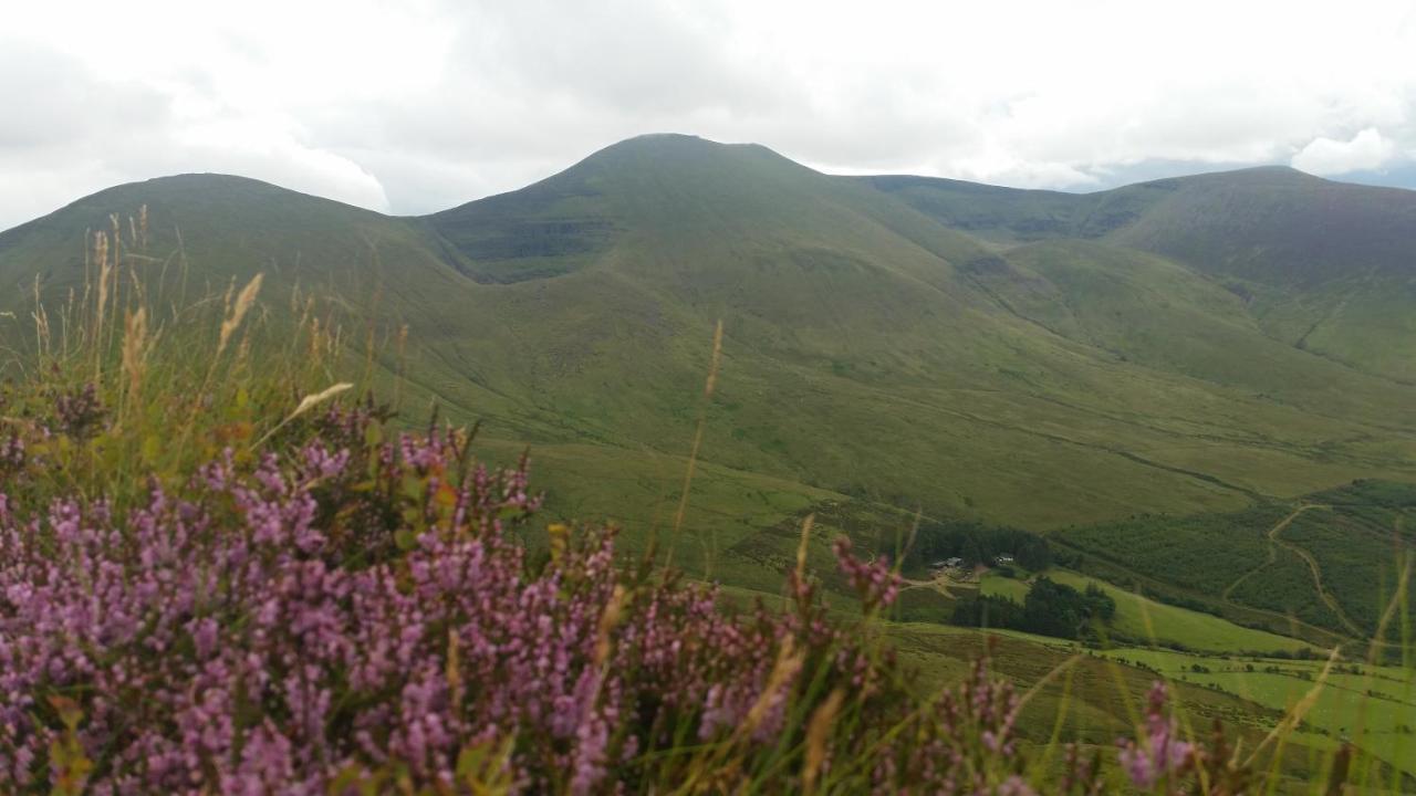 Ballinacourty House B&B Tipperary Dış mekan fotoğraf